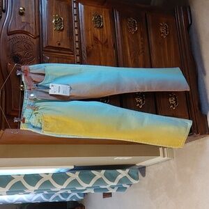 🌸Host Pick🌸Nwt Women's Zara Mid Rise Straight Leg Multi Colour Jeans